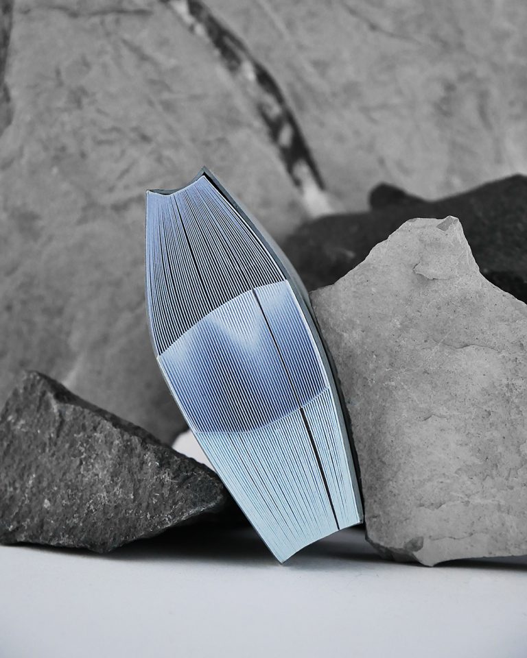 Broche Estratu rebuts Marine Chevanse