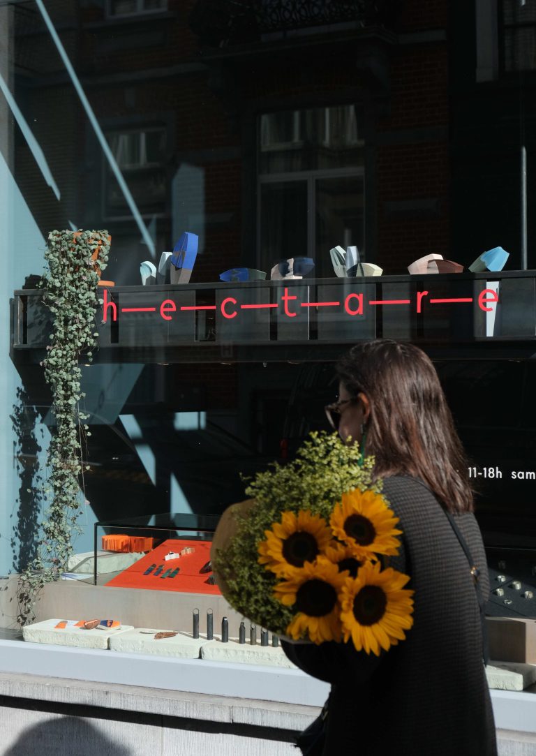Vitrine exposition Brio photo lou sautreau6