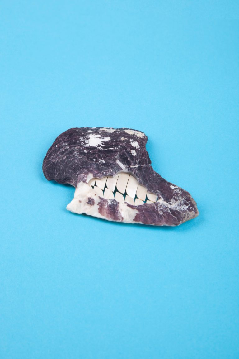 Pearly White, Benedikt Fischer, broche, coquillage, nacre, remanium, sculpey