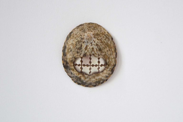 Benedickt Fischer broche pearly white